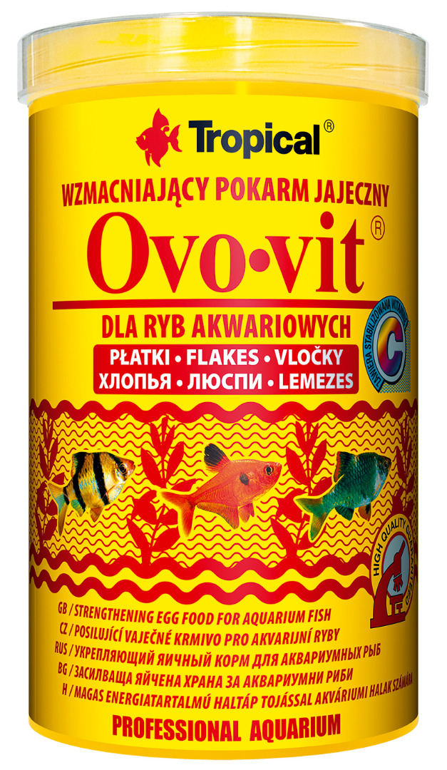 Tropical OVO-VIT  