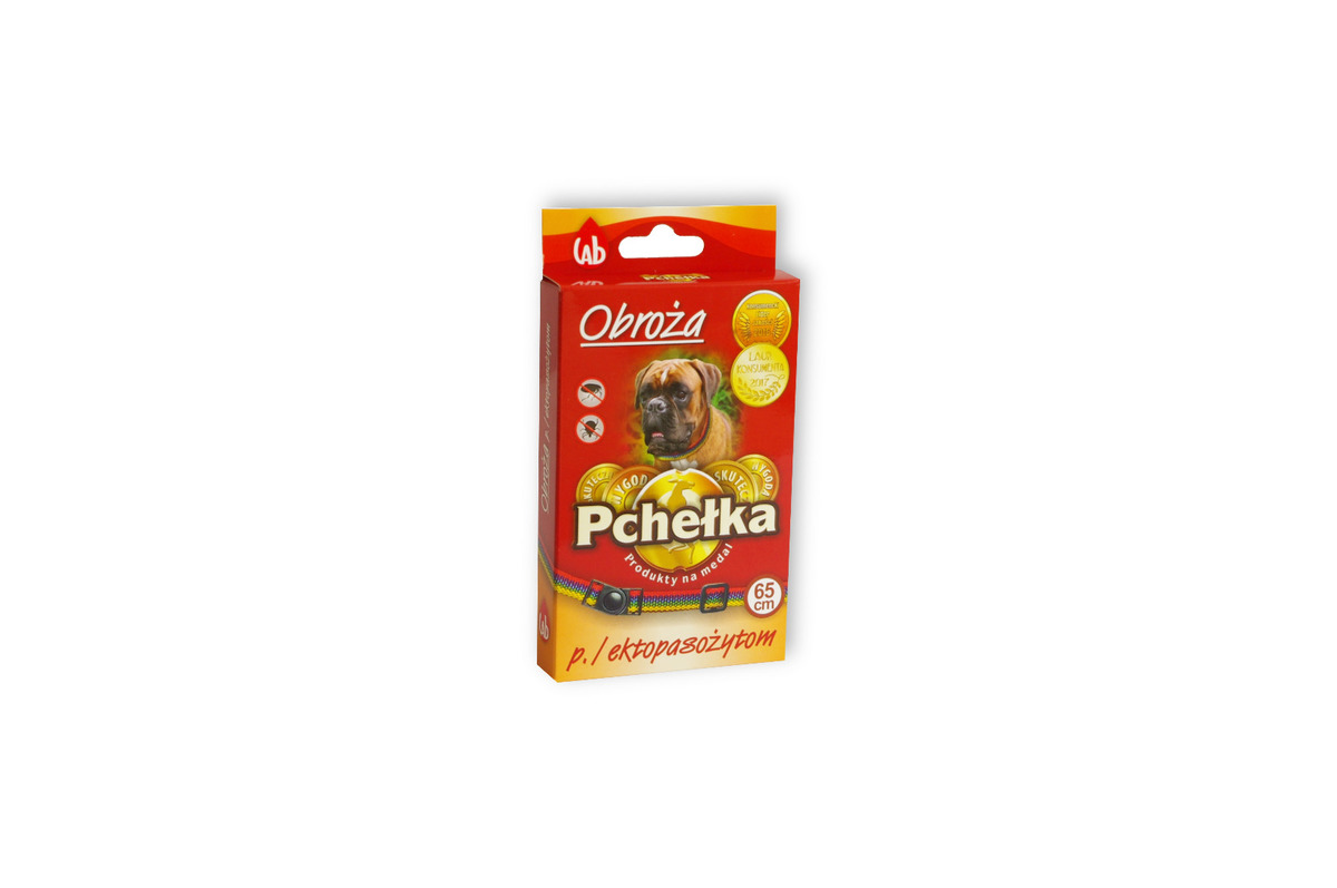 Zdjęcie 1