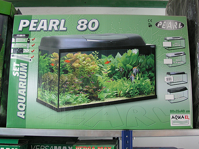 PEARL 80