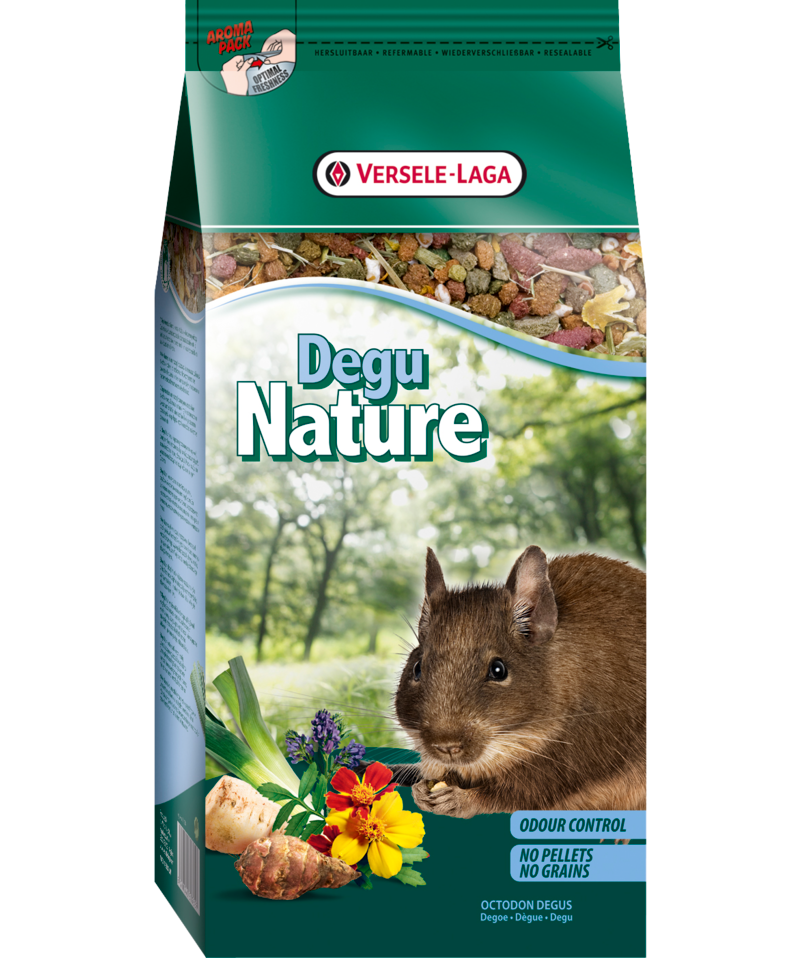 Zdjęcie 1
