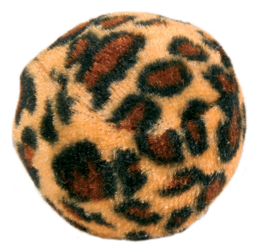 Zdjęcie 1