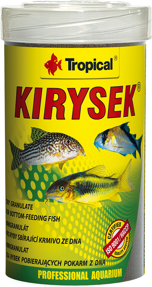 Tropical KIRYSEK  