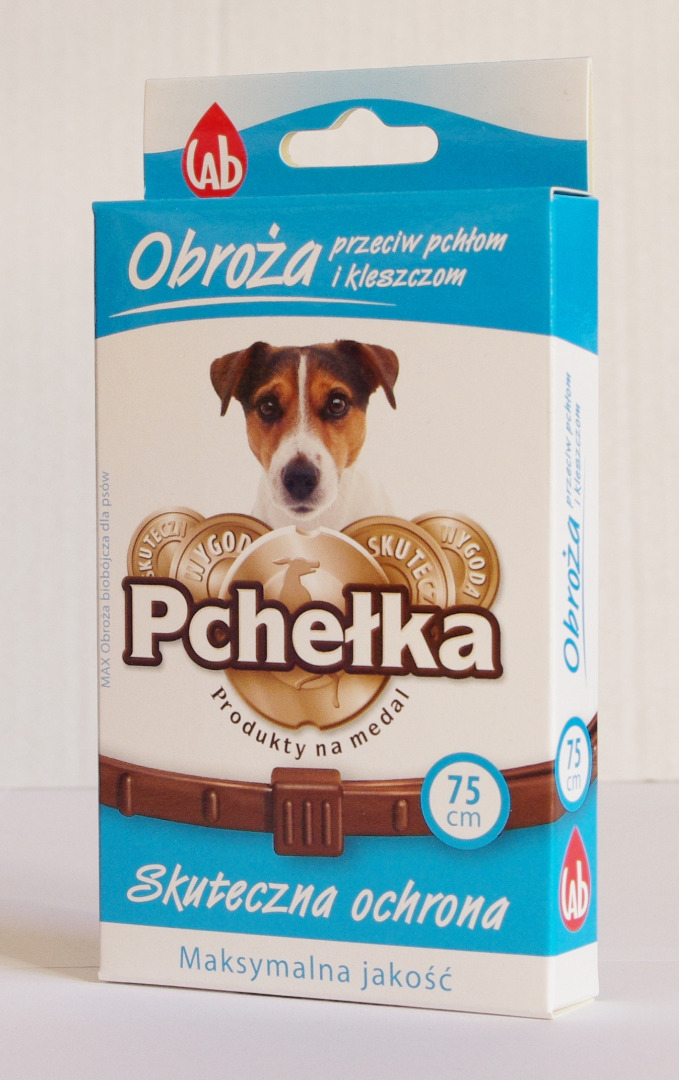 Zdjęcie 1