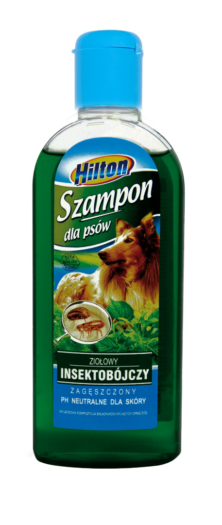 Zdjęcie 1