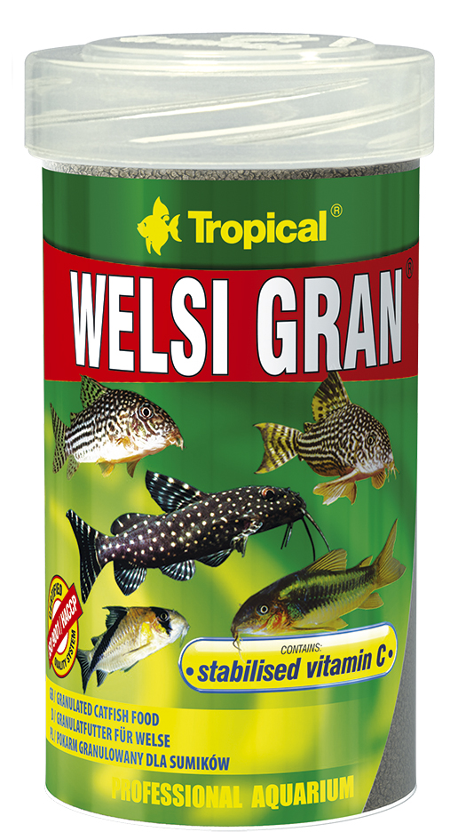 Tropical WELSI GRAN  