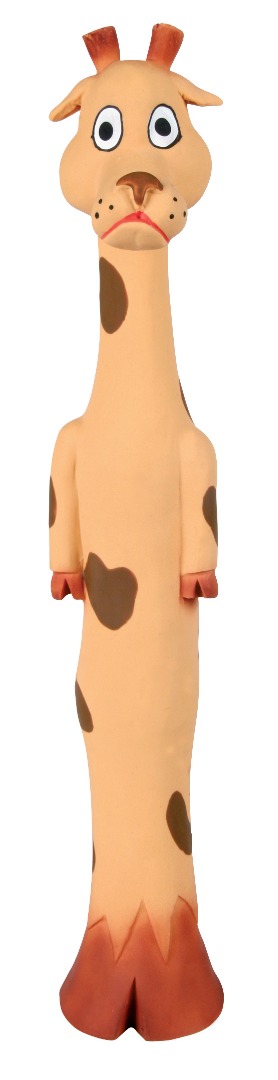 Zdjęcie 3