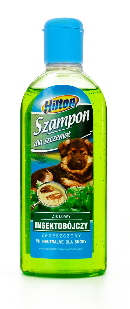 Zdjęcie 1