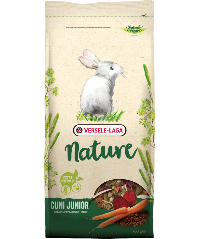 Zdjęcie 1