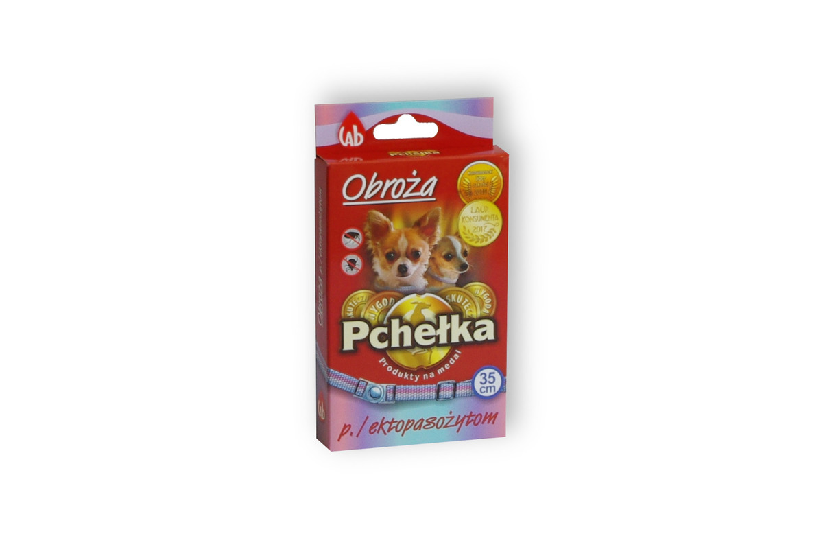 Zdjęcie 1