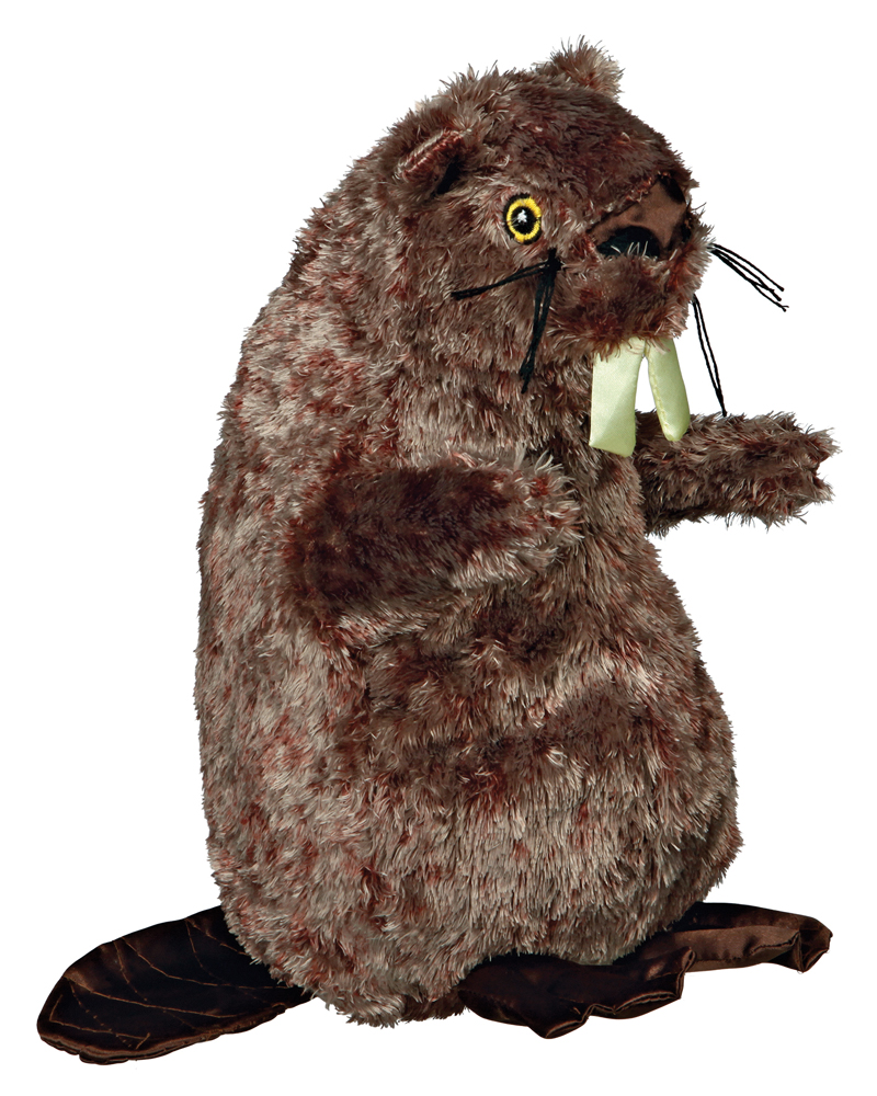 Zdjęcie 2