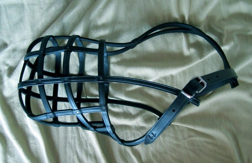 KAGANIEC SKÓRZANy dla doga niemieckiego  