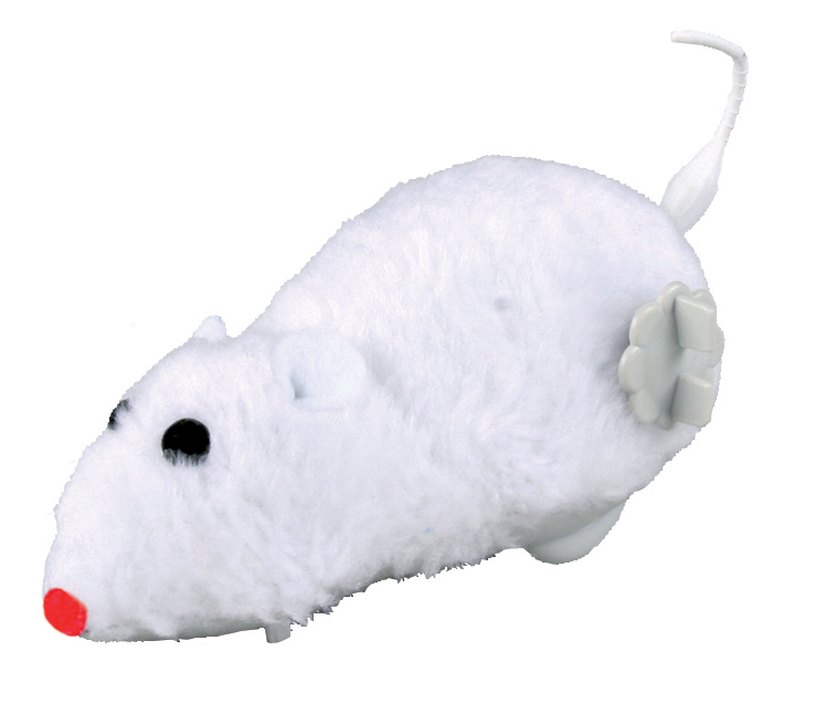Zdjęcie 1